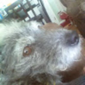 Meet your Posher, Dalene